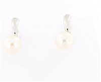 Orecchini Lorenza Gioielli Donna Perle in Oro bianco Perla 562778 - 562778